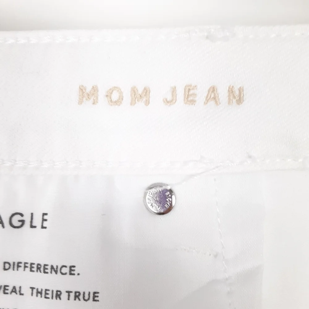 American Eagle | Plus Size Mom Jean_9